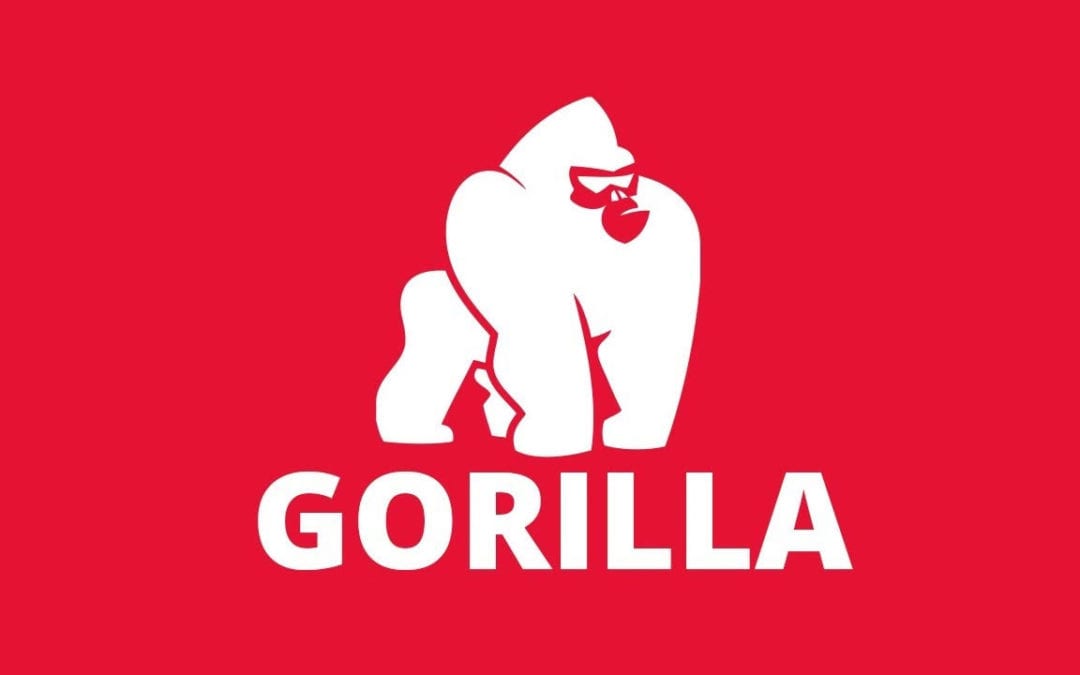 Using Gorilla for Mul­ti­play­er Studies