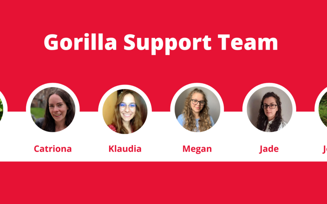Meet the Gorilla Support Team: Your Part­ners in Success